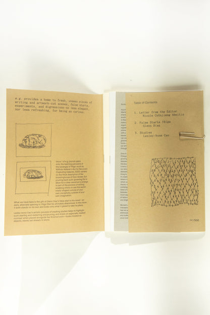 e.g. issue 1